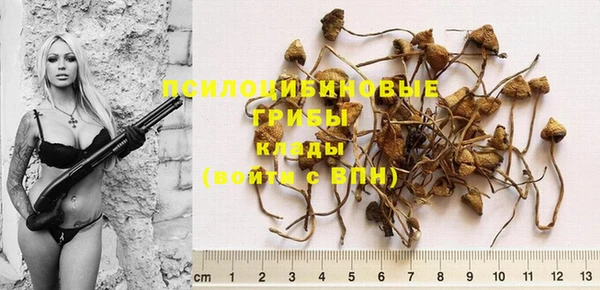 MDMA Premium VHQ Бугульма