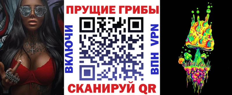 где купить наркоту  Новомичуринск  MEGA зеркало  Псилоцибиновые грибы Magic Shrooms 